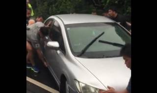 Сговорна дружина - планина повдига (Видео)