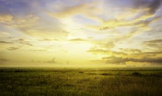 Слънчева събота