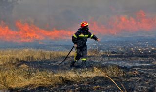Големи горски пожари бушуват в Турция