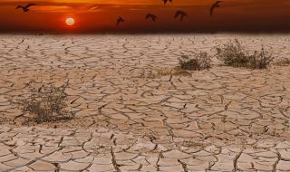 Невиждана суша в Одринска Тракия