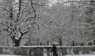 Код “жълто” в 9 области