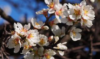 Слънчева и топла събота