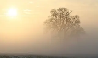 Weather today, forecast for Wednesday, December 10: Sunny and almost quiet after a foggy morning 