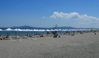 Морето изхвърли мъртъв овен на плажа в Бургас