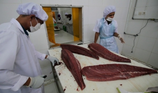 Мъж сготвен жив в пещ с риба тон