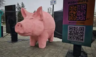 Прасето от протестите в София вече е в Плевен