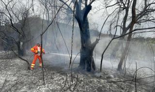 Стотици пожари бушуват в Италия