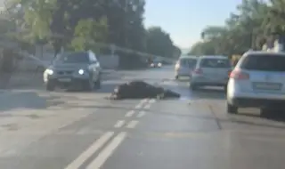 Катастрофа в София: Автомобил помете кон в "Люлин"