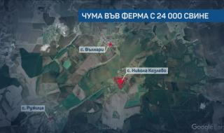 Плъхове може да са донесли чумата в Шуменско