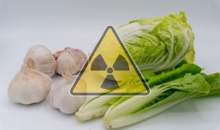 Шест храни се борят с радиацията