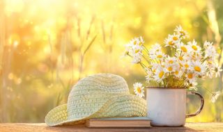 Какво време ни очаква през август