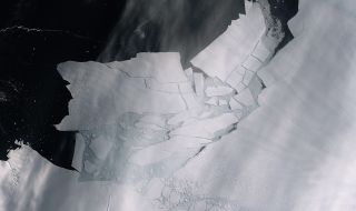Учени алармират: "Ледникът на страшния съд" се топи все по-бързо (ВИДЕО)