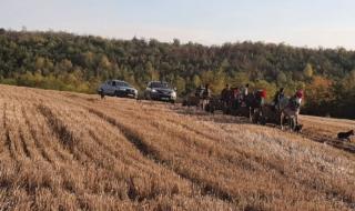 Арестуваха четирима души за незаконна сеч