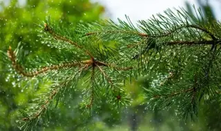 Времето днес, прогноза за сряда, 1 април: Облачно и дъждовно