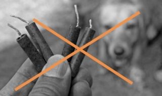 Район ''Средец'' отправи разумно и важно послание преди новогодишната нощ