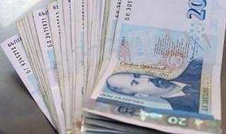 Над 50% от българите са доволни от заплатата си