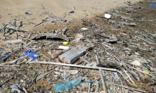Годишно Дунав вкарва по 11 млрд. броя пластмасови отпадъци в Черно море
