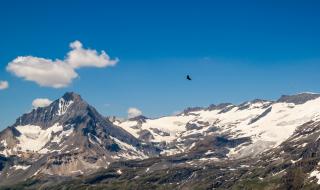 Орел засне с камера нещо ужасяващо в Алпите (ВИДЕО)
