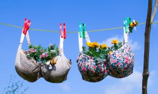 Ерата на сутиените приключи