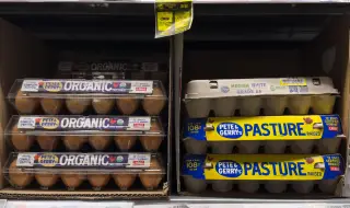 Egg prices in the US have reached unprecedented levels 