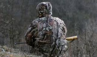 Жена осъди ловци, глигани й изяли картофите