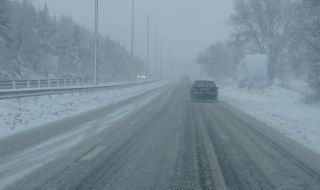 Паднали дървета ограничават движението през прохода "Шипка"