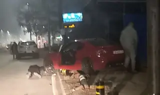 Кола се вряза в автобусна спирка на "Ломско шосе"