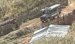 Унищожиха близо 28 тона канабис