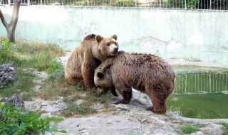 Зоопаркът във Варна с нов лиценз от МОСВ