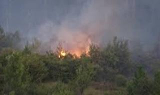 Укротиха пожара край Свиленград