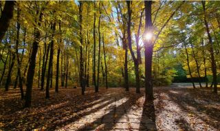 Времето днес, прогноза за събота, 28 октомври: Облачността намалява, слаб вятър от северозапад