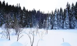 Времето днес, прогноза за сряда, 18 февруари: Сняг над цялата страна, валежите спират следобед от запад