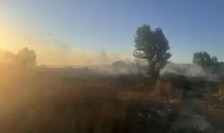 "Затворете прозорците!": Пожарът край сръбската граница се усеща и в София