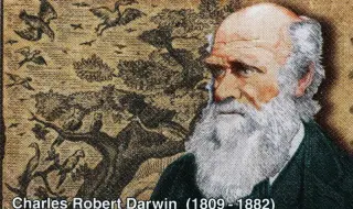 24 ноември: Денят на еволюцията отбелязва публикуването на „Произход на видовете“ от Чарлз Дарвин
