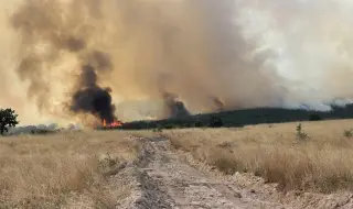 A fire covered 800 acres near Polski Trumbesh 