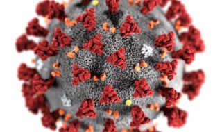 434 нови заразени с коронавирус, починаха още двама пациенти