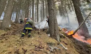 WWF: Над 90% от горските пожари у нас са резултат от човешка намеса