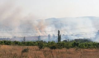 Пожарът край село Бучино е овладян
