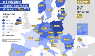 Евростат: 4,8 млн. украинци са със статут на временна закрила в страните от ЕС, броят им е намалял най-много в България