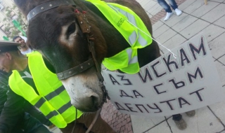 Протести в страната заради разпределението на мандатите