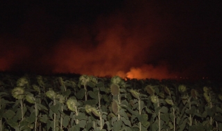 Потушиха голям пожар в Ямболско