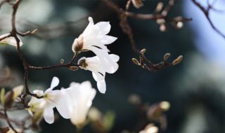 Времето днес, прогноза за петък, 14 април: Облачността се увеличава от запад