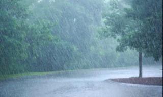 Съсипани пътища и продукция след поройните дъждове в страната (ВИДЕО)