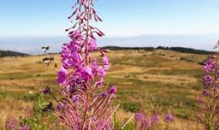 Слънчево начало на седмицата