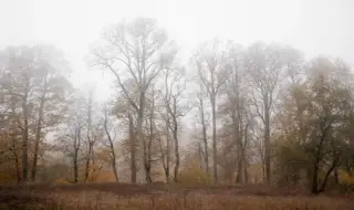 Weather today, forecast for Saturday, December 20: Cloudiness is increasing, precipitation in the east 