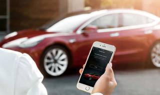 Собственик на Tesla заключи крадец в колата си през телефона
