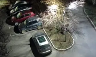 Откраднаха украсена елха в Радомир