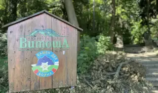 Откриха младия мъж, изчезнал на Витоша