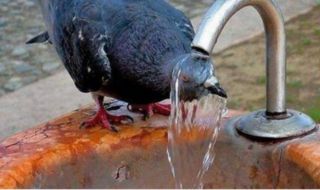 Слънчево и горещо, заоблачаване следобед