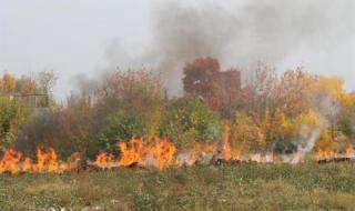 Огнена вендета заради спорен имот в Петричко